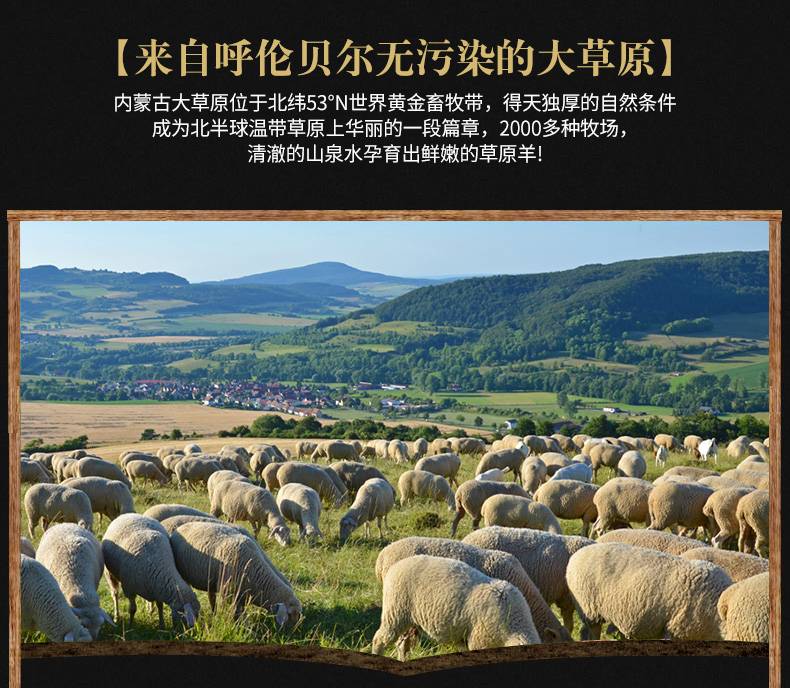 羊肉卷-草原羔羊肉_07